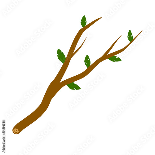Tree branch with leaf on white background illustration. © Taras