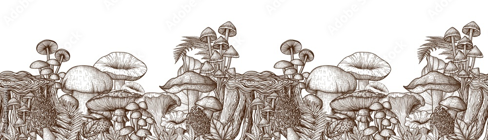 Seamless horizontal pattern mushrooms near the stump in the style of engraving. Linear graphic fly agaric, chanterelles, porcini mushrooms, honey mushrooms, morel, mycena, russula, boletus