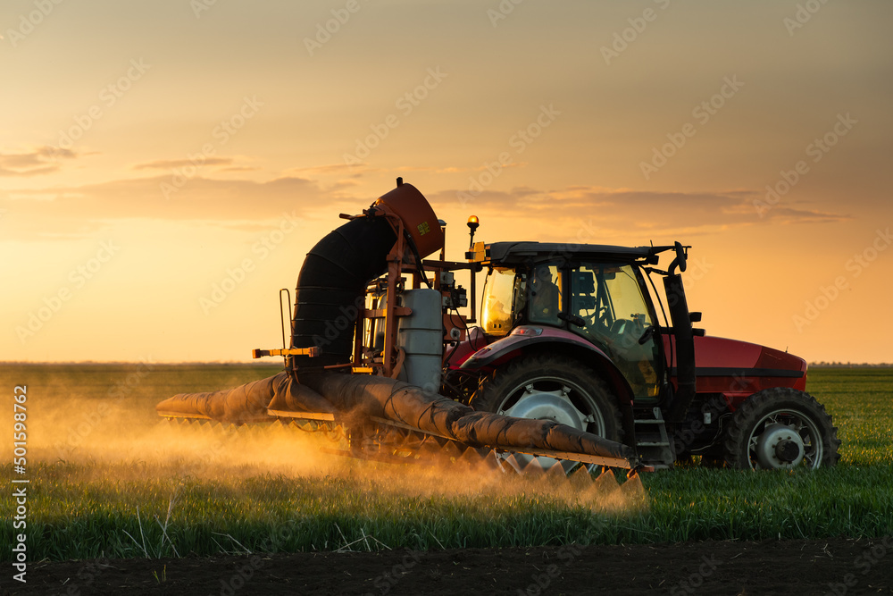 Obraz premium Tractor spraying pesticides wheat field.