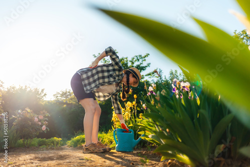 Woman in casual clothes stands bend over near a flowering iris bush, holding her back in pain. A watering can is lying on the ground. Concept of back health problems