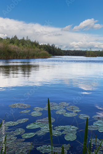 blue lake in a green summer forest against a cloudy sky