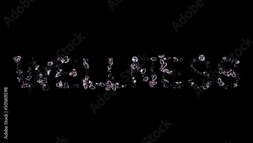 wellness - text made of diamonds  on black background  isolated - object 3D rendering