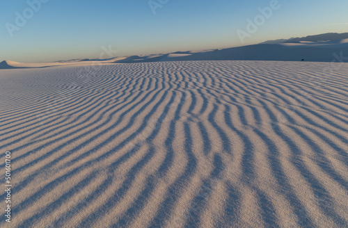 Ripples in the gypsum sand in White Sand Dunes National Park