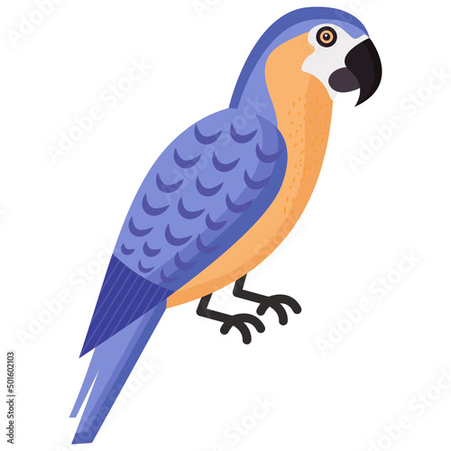 Macaw 