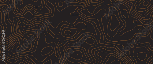 Topographic map background concept. Topo contour map. Rendering abstract illustration. Valleys and mountains, Abstract topographic map on dark background. Lines contour map. Map line .