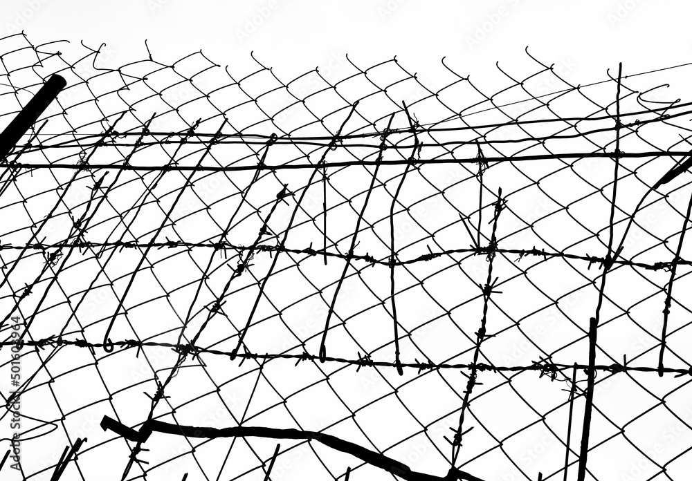 Poster Print Barbed wire on the background isolated on white background 40x26.7 cm