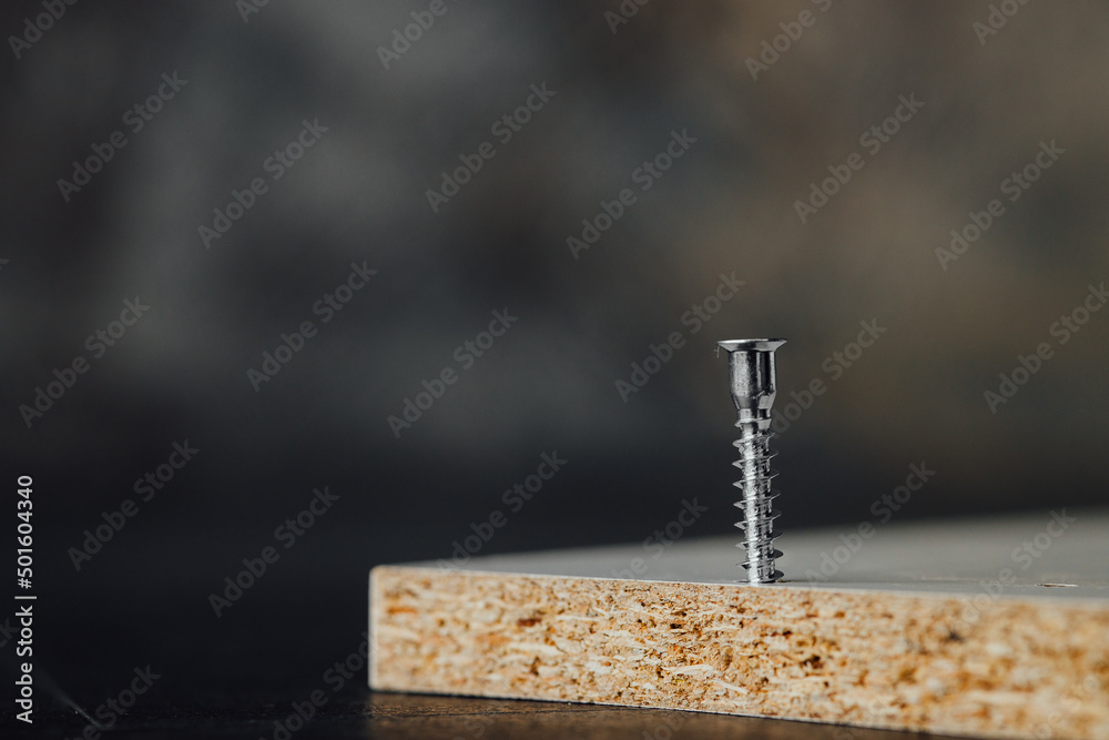 Closeup of screw being screwed into a wooden plank - macro shoot - obrazy, fototapety, plakaty 