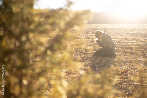 Looking through trees at woman praying alone in field