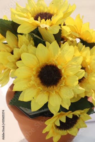 sunflowers in a vase