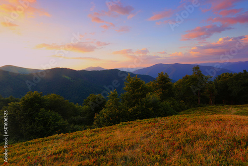 stunning summer scenery, awesome sunset landscape, beautiful nature background in the mountains, Carpathian mountains, Ukraine, Europe	