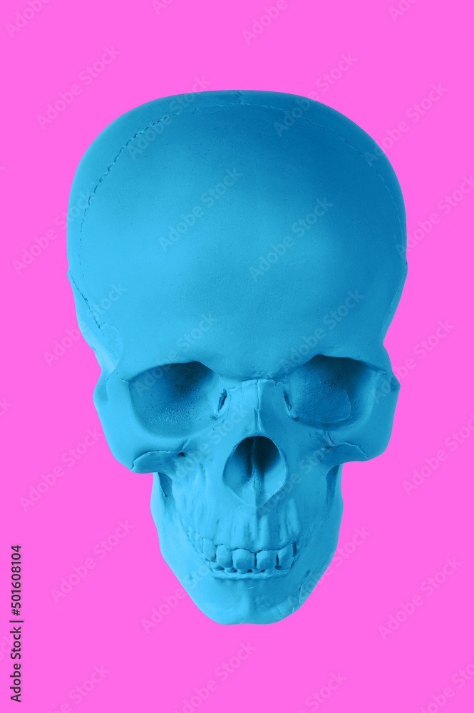 Blue gypsum human skull on isolated pink background with clipping path. Plaster sample model skull for students of art schools. Forensic science, anatomy and art education concept. Mockup for drawing. Blue gypsum human skull on isolated pink background with clipping path. Plaster sample model skull for students of art schools. Forensic science, anatomy and art education concept. Mockup for drawing.