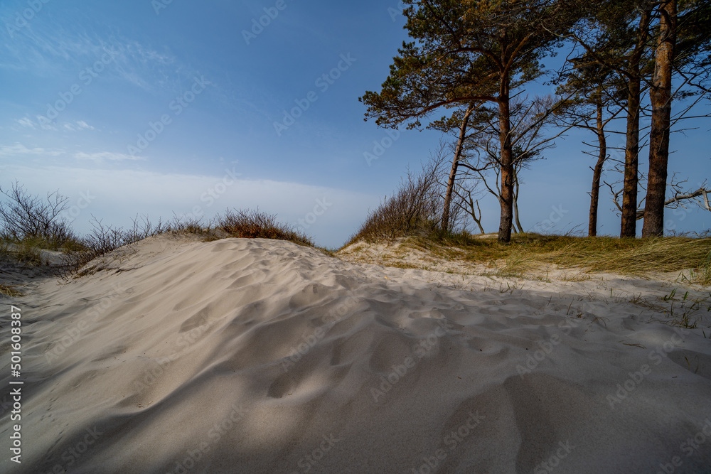 Prerow Weststrand Zingst Darß Ostsee Rostock Warnemünde Strand Bäume Meer Salzwasser Küste Brandung Steilküste Wolken Gezeiten Himmel Wolken Stralsund Sonnenaufgang Sonnenuntergang Boot Leuchtturm Prerow Weststrand Zingst Darß Ostsee Rostock Warnemünde Strand Bäume Meer Salzwasser Küste Brandung Steilküste Wolken Gezeiten Himmel Wolken Stralsund Sonnenaufgang Sonnenuntergang Boot Leuchtturm