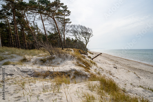 Prerow Weststrand Zingst Darß Ostsee Rostock Warnemünde Strand Bäume Meer Salzwasser Küste Brandung Steilküste Wolken Gezeiten Himmel Wolken Stralsund Sonnenaufgang Sonnenuntergang Boot Leuchtturm