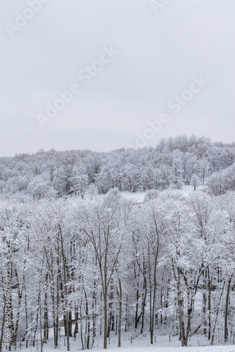Snowy Wooded Valley in Winter | Holmes County, Ohio