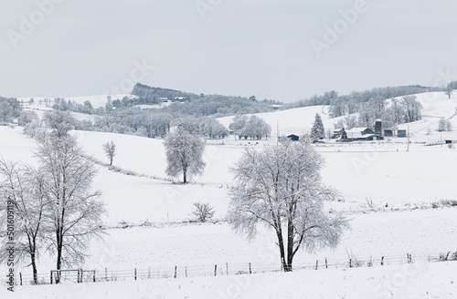 Snow Covered Amish Farmland in a Valley in Winter   Amish Country, Ohio © Isaac