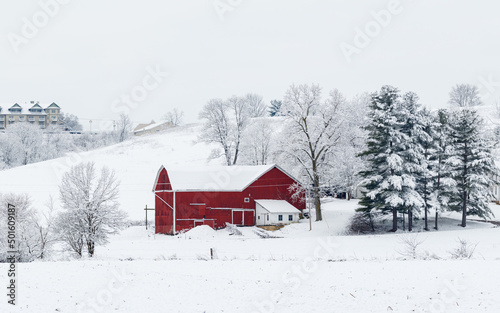 Red Barn and Green Pine Trees in the Snow on an Amish Farm | Winter in Holmes County, Ohio