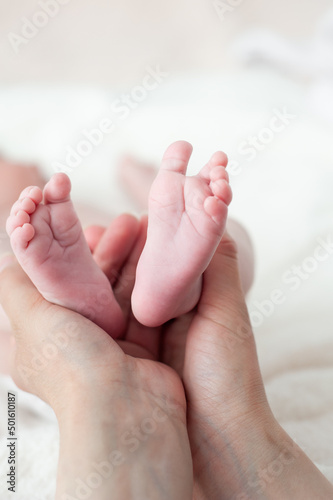 Tiny newborn baby feet on female hands closeup © alipko