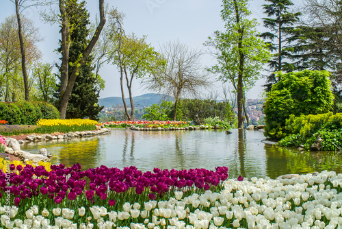 Flowers in the park. Spring park with a pond. Beautiful spring colors, landscape view