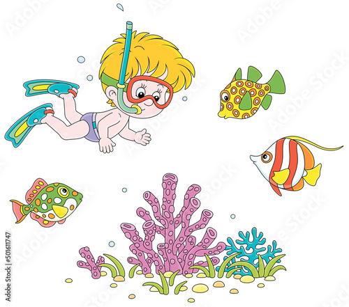 Little boy with a diving mask, flippers and a snorkel diving with colorful tropical fishes on a coral reef on summer vacation, vector cartoon illustrations isolated on a white background