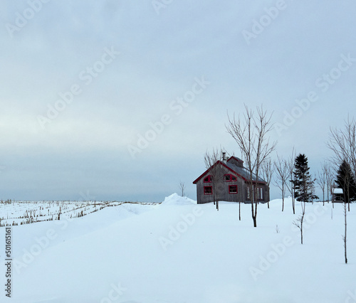 A small barn in the field. © Lise