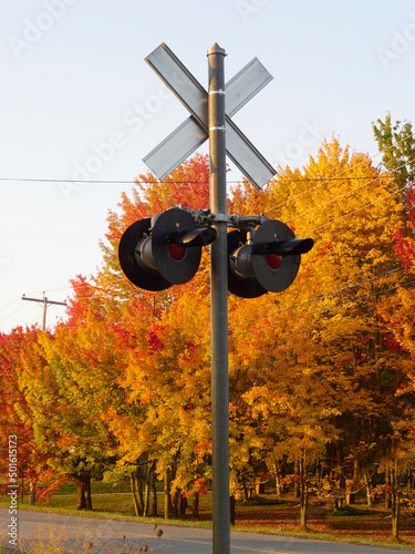 Fotografie The lights of a level crossing.