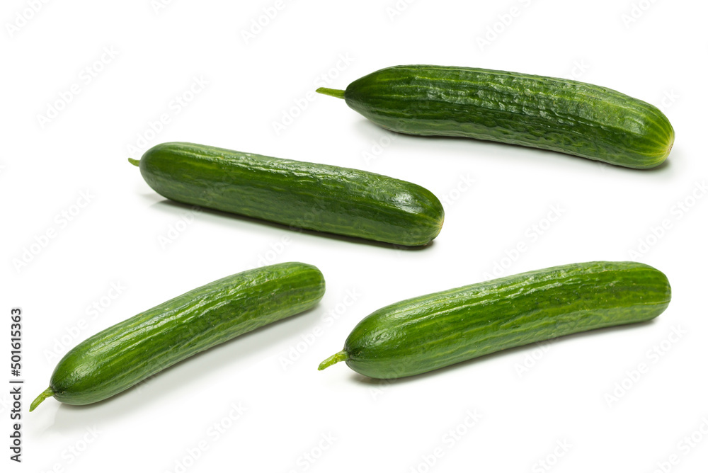 Cucumber isolated on white background. Cucumber isolated on white background.