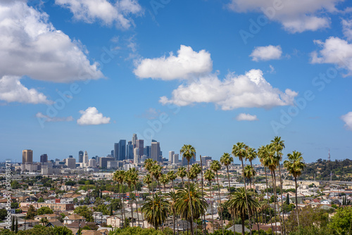 Cloudy day of Los Angeles downtown skyline and palm trees in foreground
