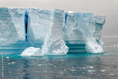 Antartica - Tabular Iceberg in Bransfield Strait