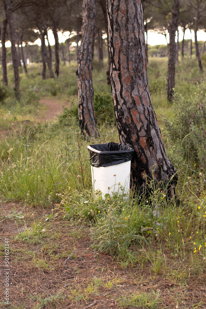 A garbage can in a pine forest. In concept of caring for the environment.