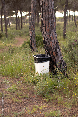 A garbage can in a pine forest. In concept of caring for the environment. © mialcas