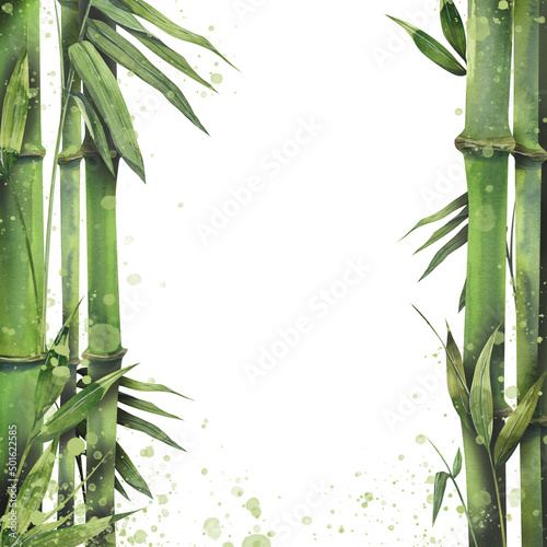Watercolor illustration, banner with bamboo stems and leaves. With paint splashes, double-sided, vertical. For decoration and design, menus, posters, postcards, invitations, prints. © NATASHA-CHU