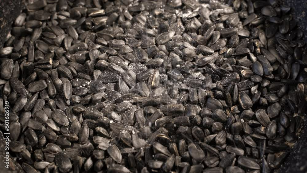 roasted sunflower seeds background. add salt to it. roasted sunflower seeds background. add salt to it.