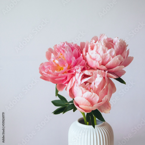 Fototapeta Naklejka Na Ścianę i Meble -  Beautiful bunch of fresh Coral Charm peonies in full bloom in vase against white background, close up. Minimalist floral still life with blooming flowers.
