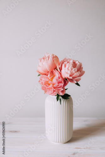 Beautiful bunch of fresh Coral Charm peonies in full bloom in vase against white background. Copy space for text. Minimalist floral still life with blooming flowers.