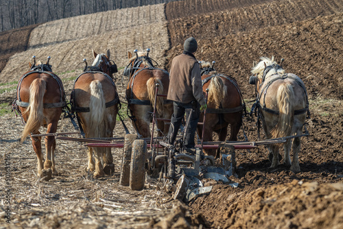 Canvas Print Amish Farmer Plowing a Field with His Horses in the Spring | Holmes County, Ohio