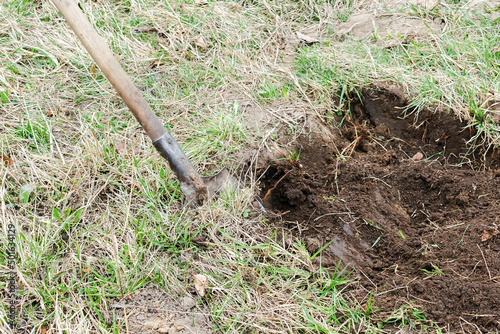digging ploughing soil, ground with shovel in garden, field, forest in spring or autumn, agriculture agronomy close up