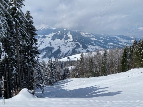 Picturesque canopies of alpine trees in a typical winter atmosphere after the spring snowfall over the Obertoggenburg alpine valley and in the Swiss Alps - Nesslau, Switzerland (Schweiz)