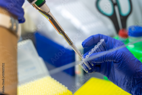 Φωτογραφία Scientist pipetting sample into vial for DNA testing