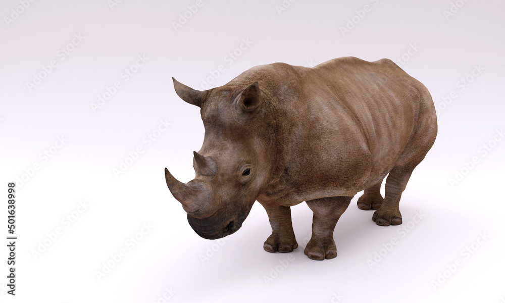 3d image, huge rhinoceros, on white background, copy space, 3d rendering