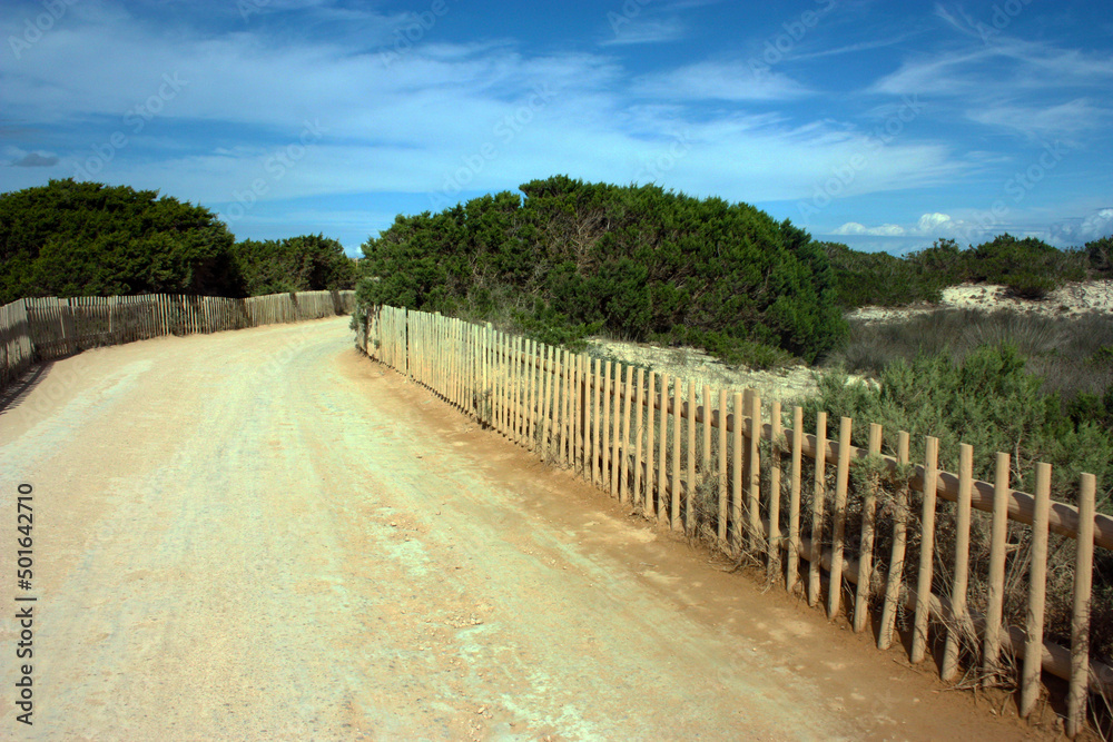 dusty famous arid and dirt road to Ses Illetes maritime tourist attraction in summer in Formentera