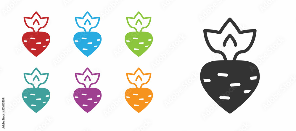 Black Turnip icon isolated on white background. Set icons colorful. Vector