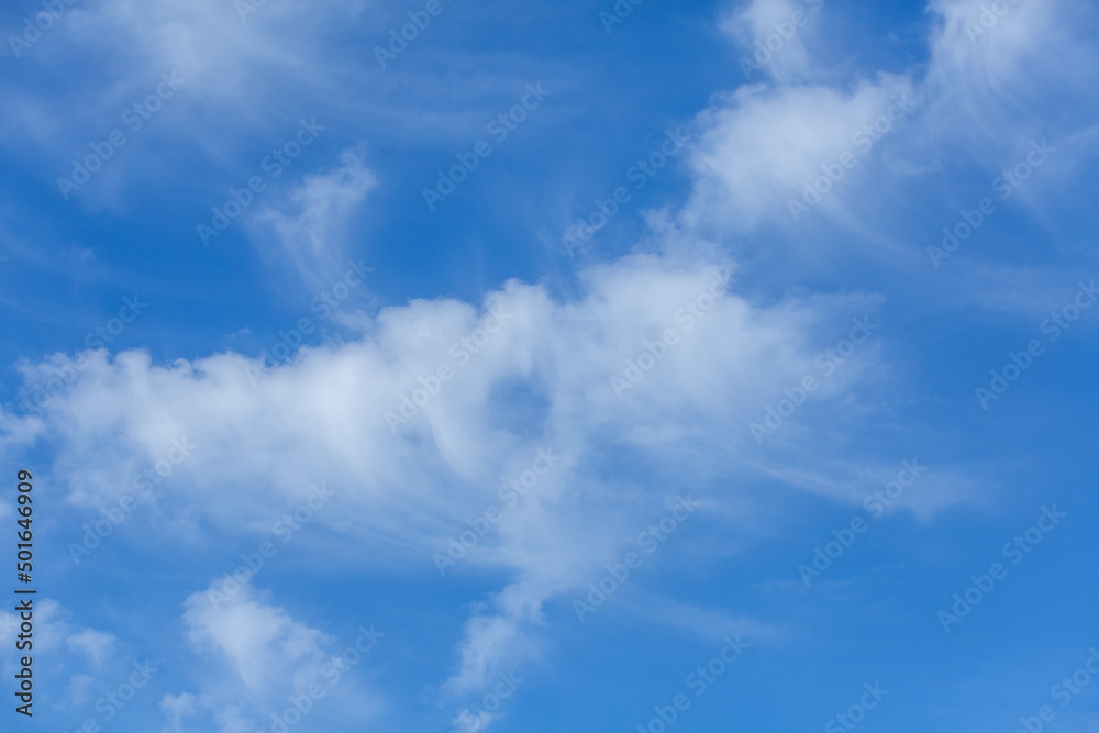 Fototapeta premium Dense white cloud in the blue sky