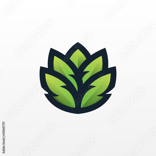 leaf vegetable design