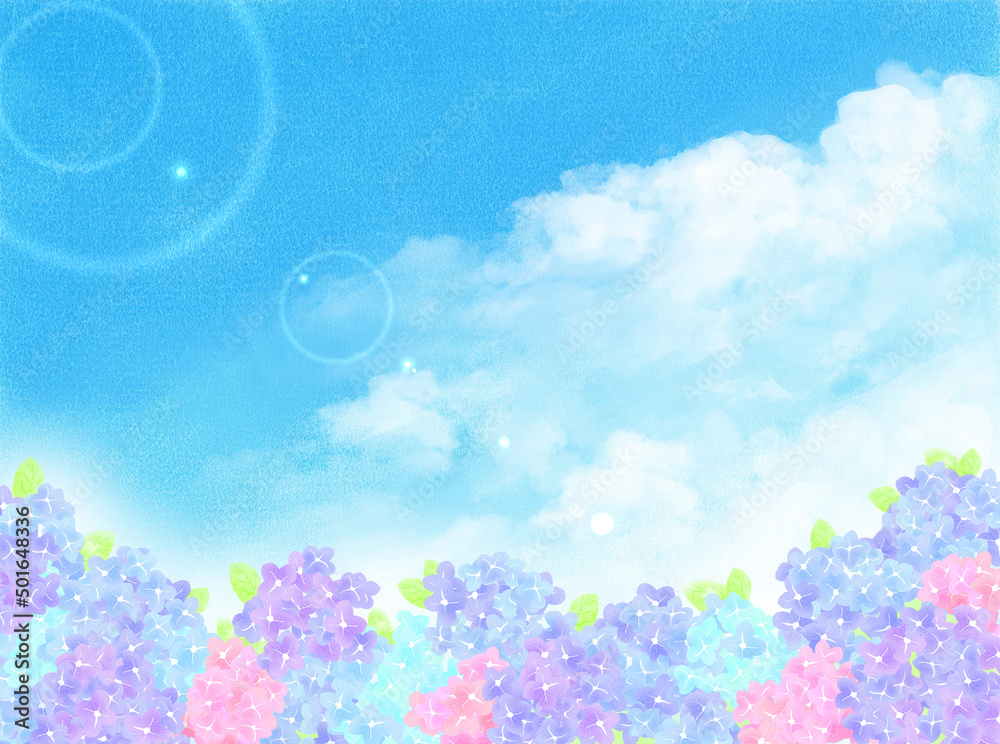 青空と紫陽花 。雨上がりのイメージ。