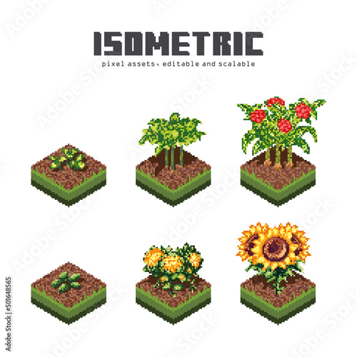 Plant growth isometric pixel art game assets