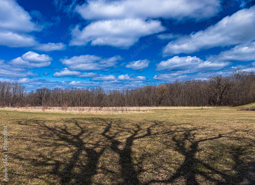 Obraz premium autumn