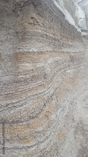 Rock texture found in Alberta