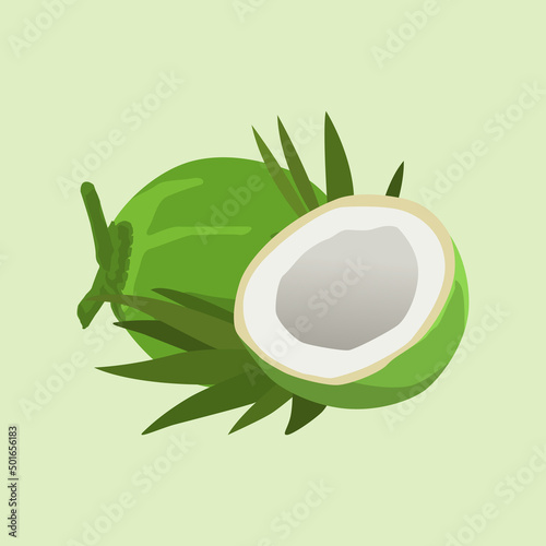 Green Coconut Illustration with Pastel Colors, Summer vacation. Beach vacation with fresh coconut