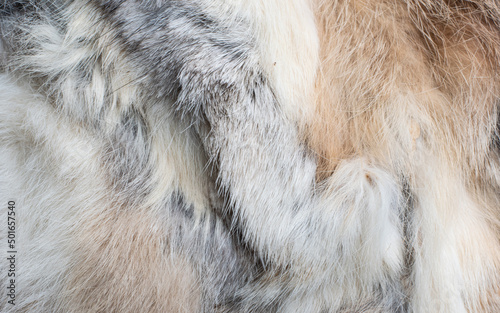 Canvas Print Beautiful abstract close-up brown gray fur background texture background