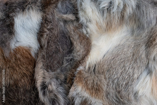 Beautiful abstract close-up brown gray fur background texture background